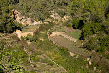 Es Broll in Ibiza Spain an artesian well that uses the water that emerges from the spring to distribute it throughout the valley through a complex system of irrigation ditches.の写真素材