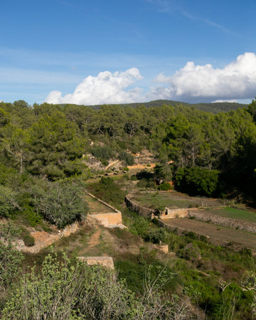 Es Broll in Ibiza Spain an artesian well that uses the water that emerges from the spring to distribute it throughout the valley through a complex system of irrigation ditches.の写真素材