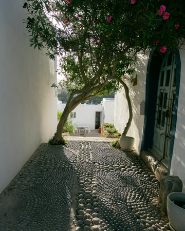 The old quarter of Puig de Misa in Santa Eulalia des Riu on the island of Ibiza.の写真素材