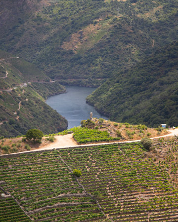 Panoramic views of the vineyards of the Sil Canyon in the Ribeira Sacra (Galicia, Spain). Examples...
