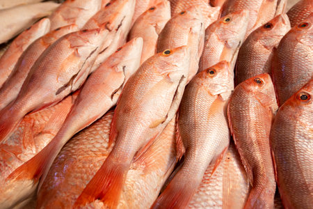 Mexico City, Mexico; November 1, 2024: Fresh fish stall at the San Juan Market in Mexico City.