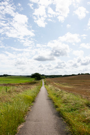Rural cycle path through the forests and landscapes of southern Denmarkの写真素材