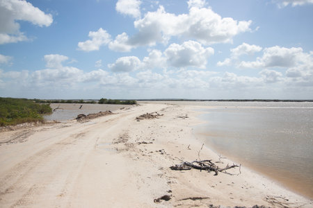 Nature reserve and salt mines in RÍó Lagartos on the Yucatan Peninsula in Mexico.