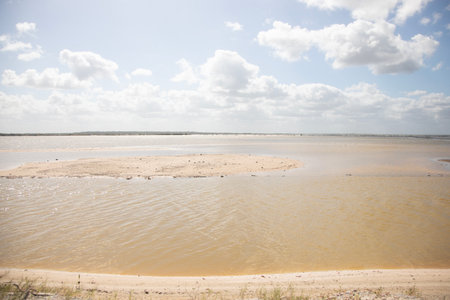 Nature reserve and salt mines in RÃ­o Lagartos on the Yucatan Peninsula in Mexico.の写真素材
