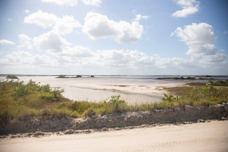 Nature reserve and salt mines in RÃ­o Lagartos on the Yucatan Peninsula in Mexico.