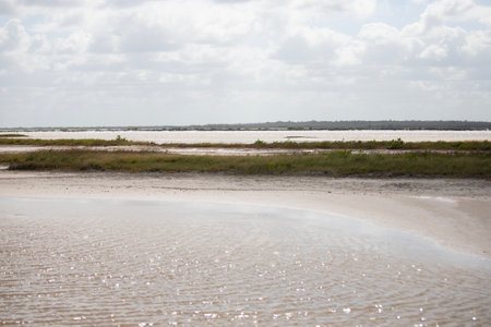 Nature reserve in Río Lagartos on the Yucatan Peninsula in Mexico.の写真素材