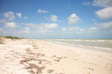 Gulf of Mexico beach in El Cuyo, a fishing village on Mexico's Yucatan Peninsula.