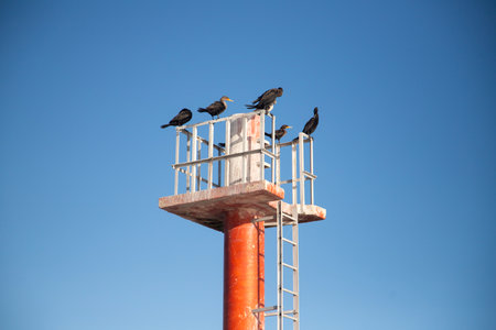 El Cuyo, Mexico; November 1, 2025: Footbridge leading to the sea in a Yucatan fishing village.の写真素材