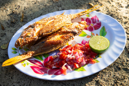 El Cuyo, Mexico; November 1, 2025: Fried fish at a restaurant in El Cuyo, a fishing village on Mexico's Yucatan Peninsula.の写真素材