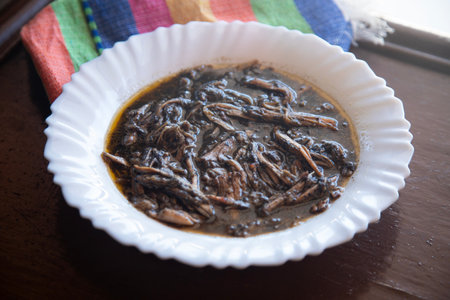 Recado Negro is a dish with meat and a mixture of dried chilies and other spices typical of the Yucatan Peninsula in Mexico.の写真素材