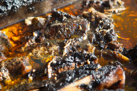 Recado Negro is a dish with meat and a mixture of dried chilies and other spices typical of the Yucatan Peninsula in Mexico.の写真素材