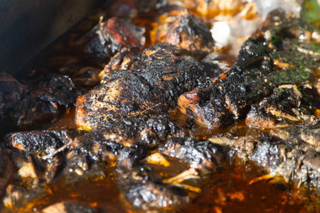 Recado Negro is a dish with meat and a mixture of dried chilies and other spices typical of the Yucatan Peninsula in Mexico.の写真素材