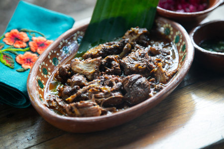 Authentic Cochinita Pibil slow-cooked pork dish in traditional clay serving bowl in a rural community in Yucatan Peninsula in Mexico.の写真素材