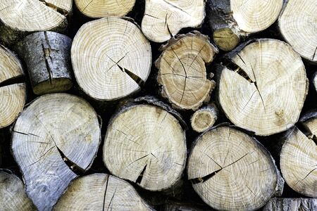 Stack of fresh chopped wood for fire