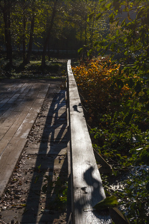 Rural fence in the middle of the nature, fallの写真素材