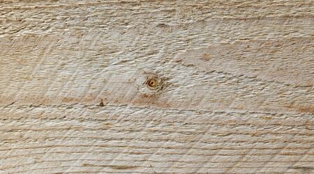 Natural wood background, wood slice and organic textureの写真素材