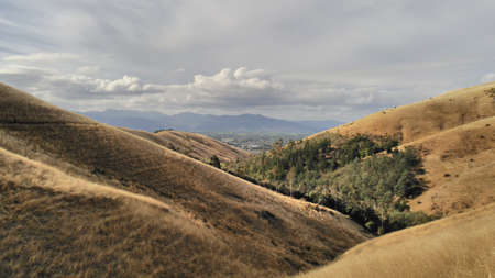 Wither hills landscape walk trailの写真素材