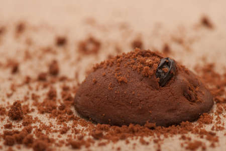 cookies with raisins brown oval