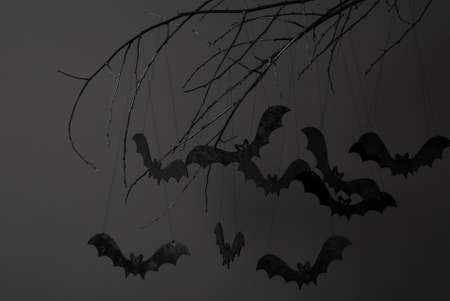 halloween with silhouettes of black bats on a tree branch on a dark background