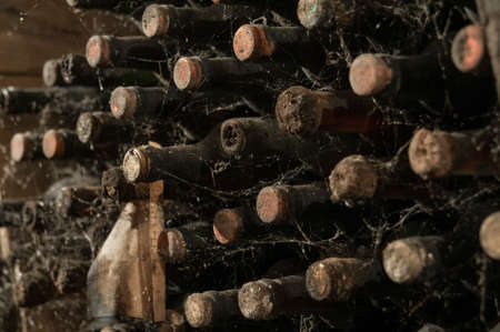a lot of old wine bottles in the web in the wine cellarの写真素材