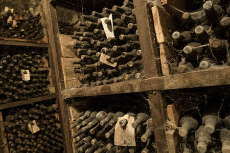 a lot of old wine bottles in the web in the wine cellar on the shelvesの写真素材