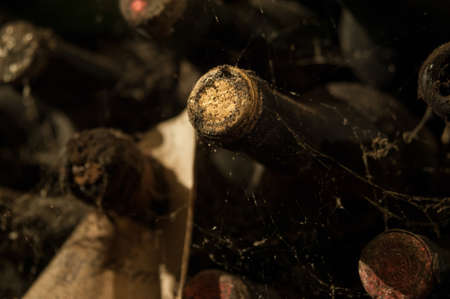 lot of old wine bottles in the web in the wine cellar close-upの写真素材
