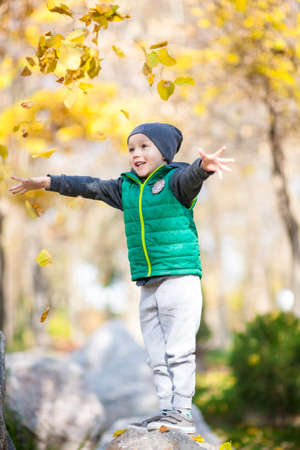little boy in the park standing on a stone throws yellow leaves of trees in autumnの写真素材