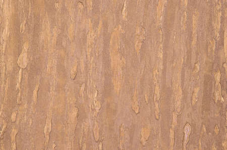 background of the plastered texture. artistic background handmade