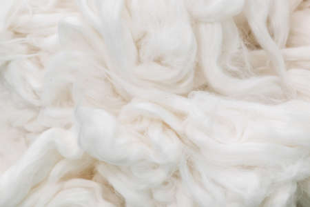Background from the raw cotton fiber
