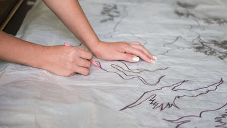 the artist draws a sketch through tracing paper, close-up
