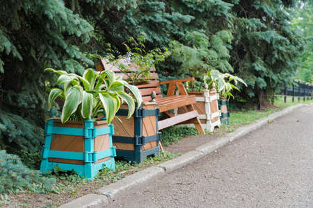 wooden bench in the Park by the path