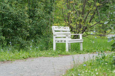 white wooden bench in the Park by the pathの写真素材