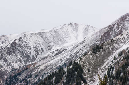landscape of winter rocky mountains with fogの写真素材
