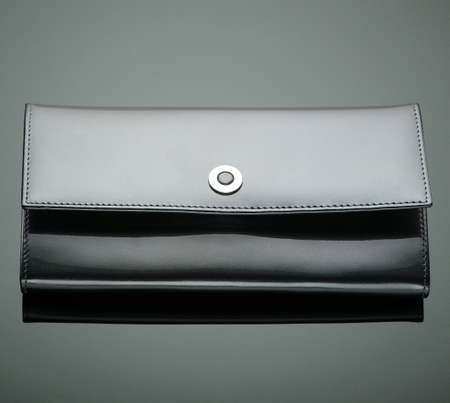 Fashionable designer wallet on a green background