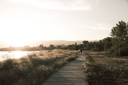 young people walking in nature on a wooden path at sunsetの写真素材