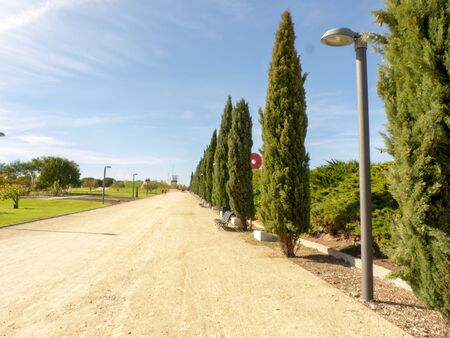 Photo of a park with trees in Madridの写真素材
