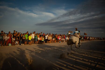 Photo of a horse running in the sandの写真素材