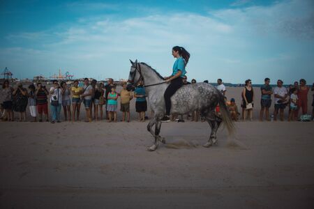 Photo of a horse in a beautiful beachの写真素材