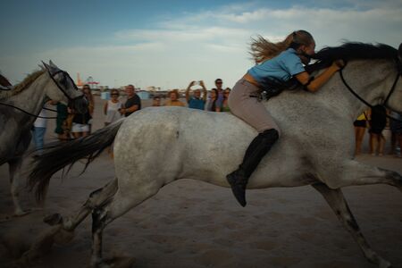 Photo of horses in a race in the beachの写真素材
