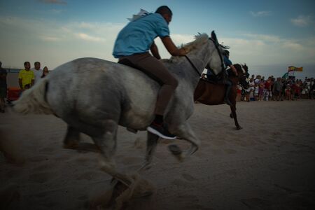 Photo of horses running in the beachの写真素材