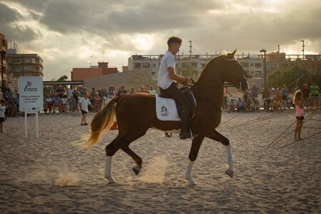 Photo of a young boy on a horseの写真素材