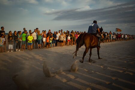 Photo of a horse running in the sand with people in the backgroundの写真素材