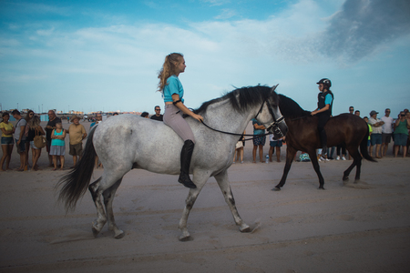 Photo of beautiful horses in the beachのeditorial素材