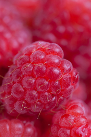 raspberries backgroundの写真素材