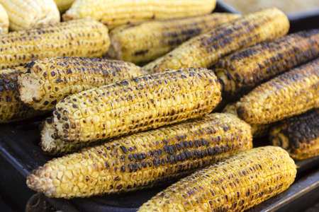 Grilled Corn on the Cobの写真素材