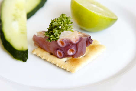 Delicious octopus appetizer on a salty cracker with mexican lime and cucumberの写真素材