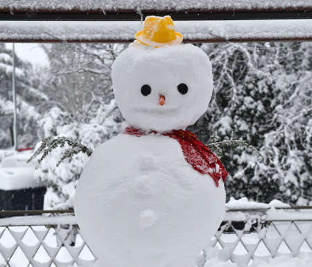 a nice snowmanの写真素材