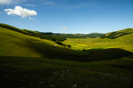 The beginning of flowering around Castelluccio di Norcia (June 2020): fields in lavish color, with red poppies, yellow rapeseed and other flowers.の写真素材