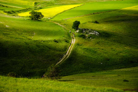 Mountain bikers taking a tour through the cultivated fields of Castelluccio di Norcia, full of...