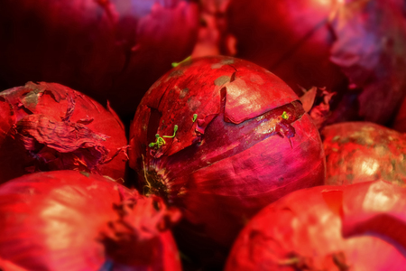 Macro detail of red onionsの写真素材